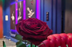 Love room - Xtase By luxuria Cannes - Foto 3