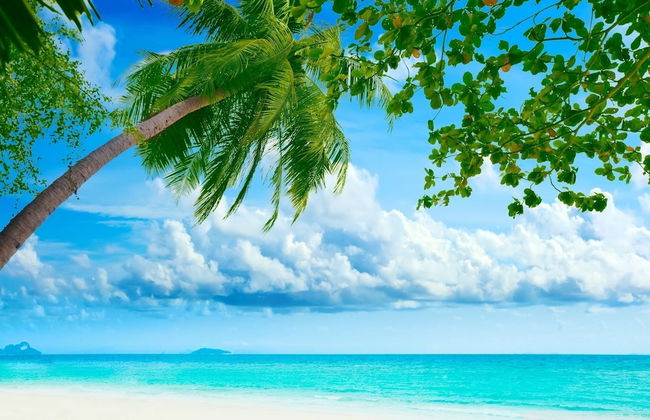 Royale Suites by Arc Royale Luxury Apts - Photo 28