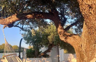 Apartman “Snježana” - Photo 12