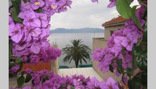 Apartman Graciela Perfect location Gradac - Foto 2