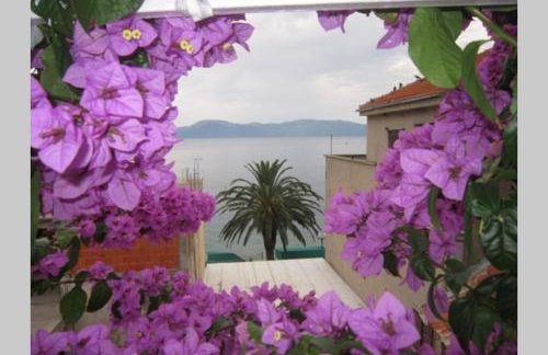Apartman Graciela Perfect location Gradac - Foto 2