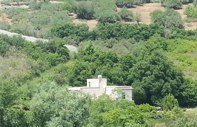 Casa Gelferraro - Foto 31