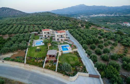 Olive Garden Villas - Photo 44