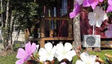 Recanto das Gralhas - Foto 4, Garden