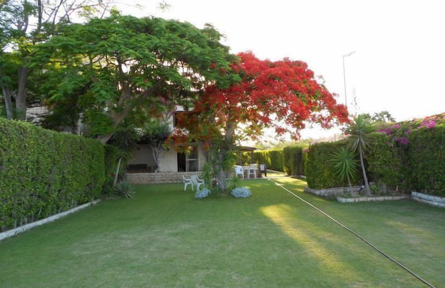 Marina Villa North Coast Egypt - Photo 28