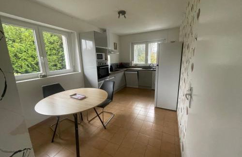 Magnifique Logement f2 Vosges La vôge-les-bains - Foto 5
