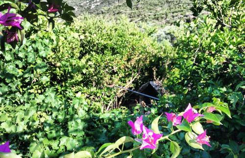 Faros oasis - Foto 59