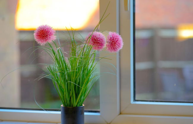 Taylor Close Holiday Home - Foto 17