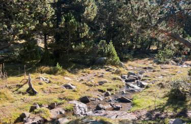 Chalet des loulous , 3 chambres, 8 couchages - Foto 23