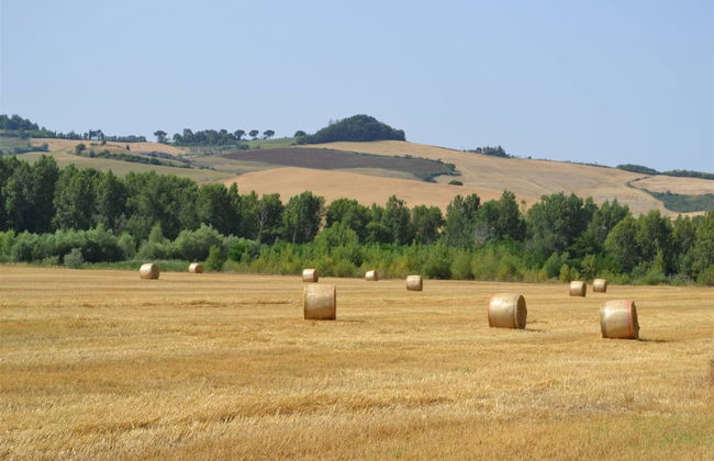 Agriturismo Le Spighe - Foto 45