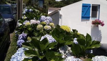 Ribeira da Praia House - Photo 3