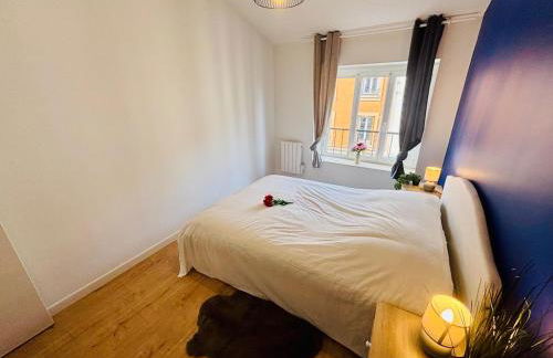 Le rêve bleu - Proche centre-ville - Saint-Etienne - Foto 11