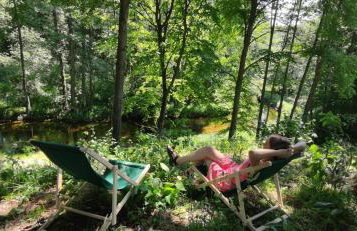 Zielony domek nad Marychą w Budwieć - Foto 44