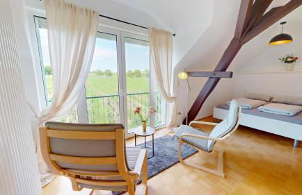 Ferienhaus im Weinberg Kallstadt - Foto 12