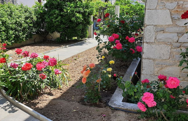 Zmas Studios - Foto 39