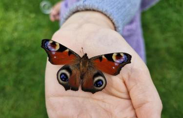 Łap Las Pelnik - Photo 29