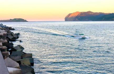 Central Park - Foto 19