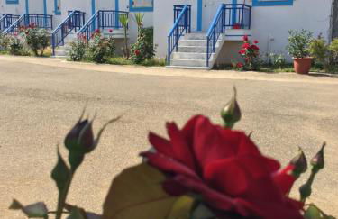 Kipriotis Hotel - Foto 24