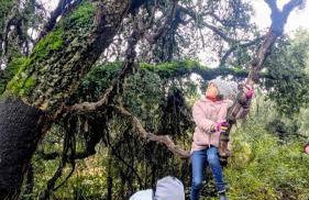 Casa Rural El Olivo - Foto 62