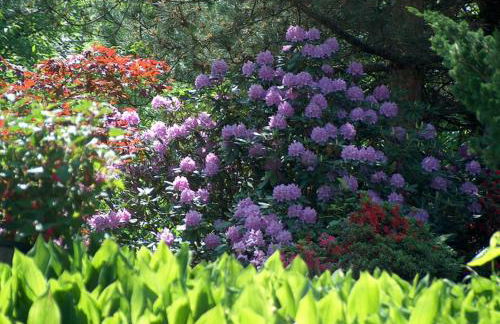 Ferienwohnung am Kneipp-Park - Foto 13