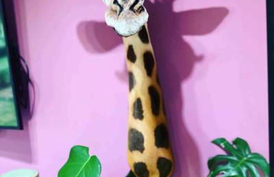 Bonshaw Grange-Riverside Country Retreat, & HotTub - Photo 49