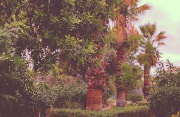 Cantinho Azul - Tavira Garden - Foto 32