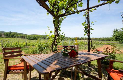 Agriturismo Novelleto - Foto 114