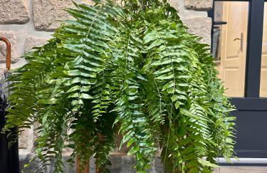 Maison design avec jardin Havre de paix aux portes de Paris & Disneyland - Foto 17