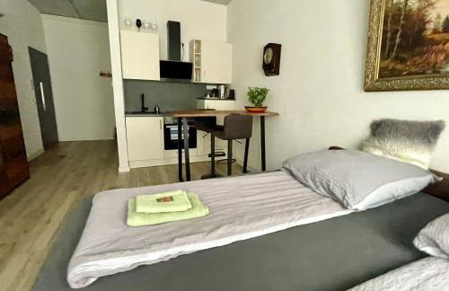 Goldstadt Classic Suite - City Apartament am Schlössle - Foto 38