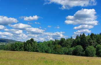 Domek u Hołąbków - Foto 31