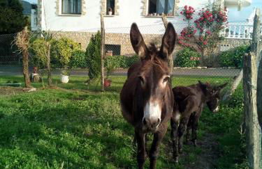 Agroturismo Pagoederraga - Foto 77