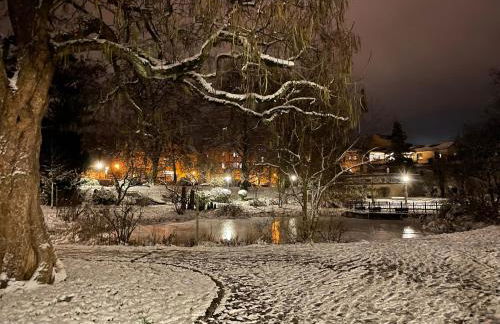 Ferienwohnung im Zentrum von Sonneberg - Photo 11