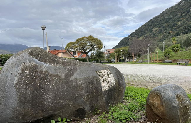 Preta Nera Intera in Giuliano di Roma - Foto 25