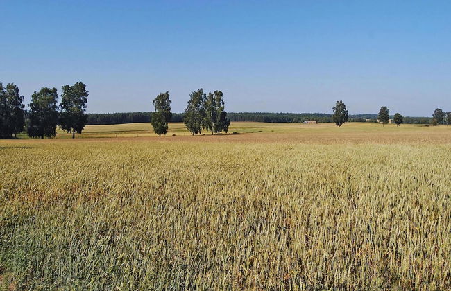 Holiday Home in Sieciemin Near Baltic Coast - Photo 38