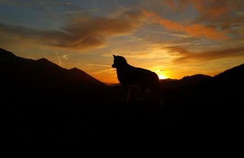 El Invernal de Picos - Photo 14