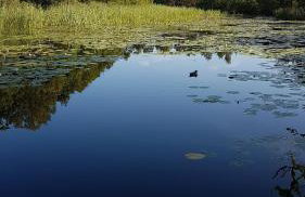 Domki Skandynawskie Kopalino - Foto 29