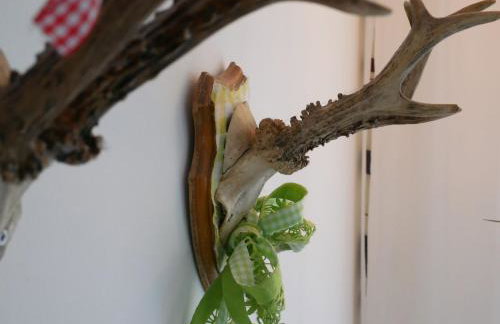 Ferienwohnungen Knodel - Foto 72