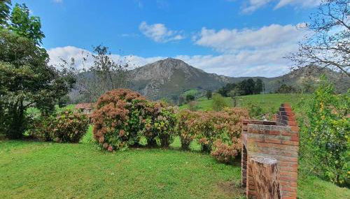 Vivienda Vacacional Casa Casenti - Foto 5, Garden, Garden view