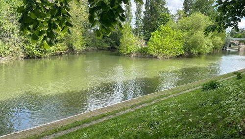Bonheur en Seine, Piscine, Vue Seine - Foto 2