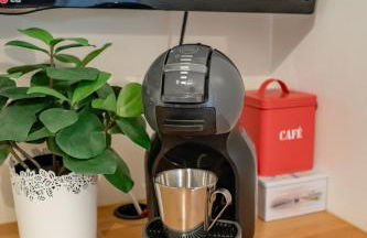 La p'tite Auxerroise, mini-maison avec jardin ! - Foto 16