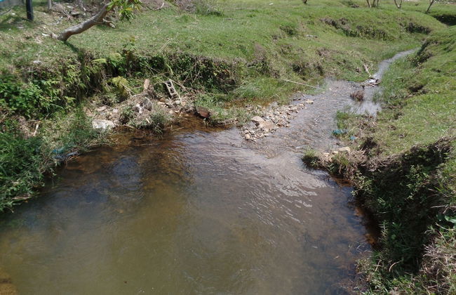 Finca la marina - Photo 5