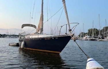 Sailboat Experience in Annapolis - Foto 1