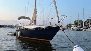 Sailboat Experience in Annapolis - Foto 1