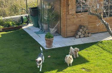 Ca' Celeste sul Garda - Foto 15