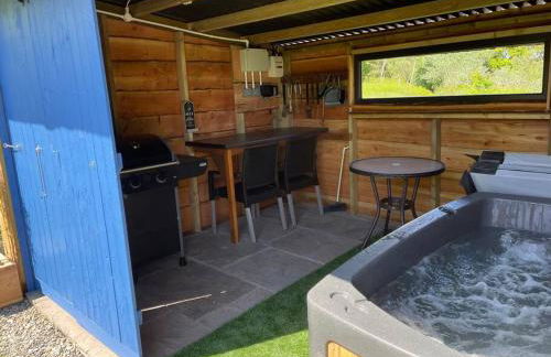 Pembrokeshire Shepherd hut with hottub - Foto 8