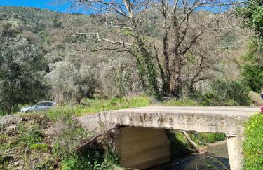 Mesavlia Traditional Stone House - Photo 40