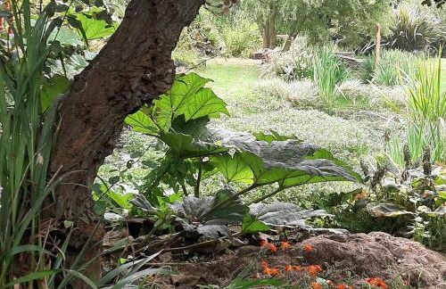 la maison des lavandières - Foto 33