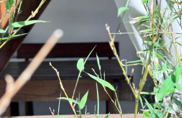 Casa Pietra 27 , Authentic Istrian Stone House - Foto 22