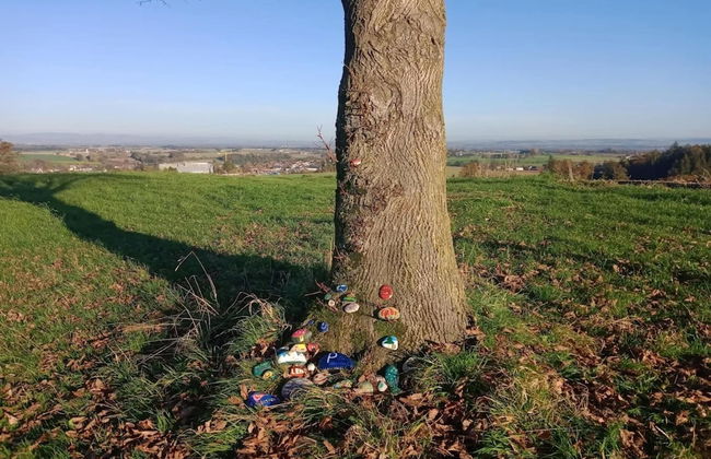Wohnung in Rotthalmunster mit Garten - Photo 28