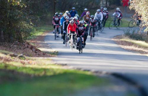 Folsom Old Town Escape • Cozy Cottage + Library - Foto 20